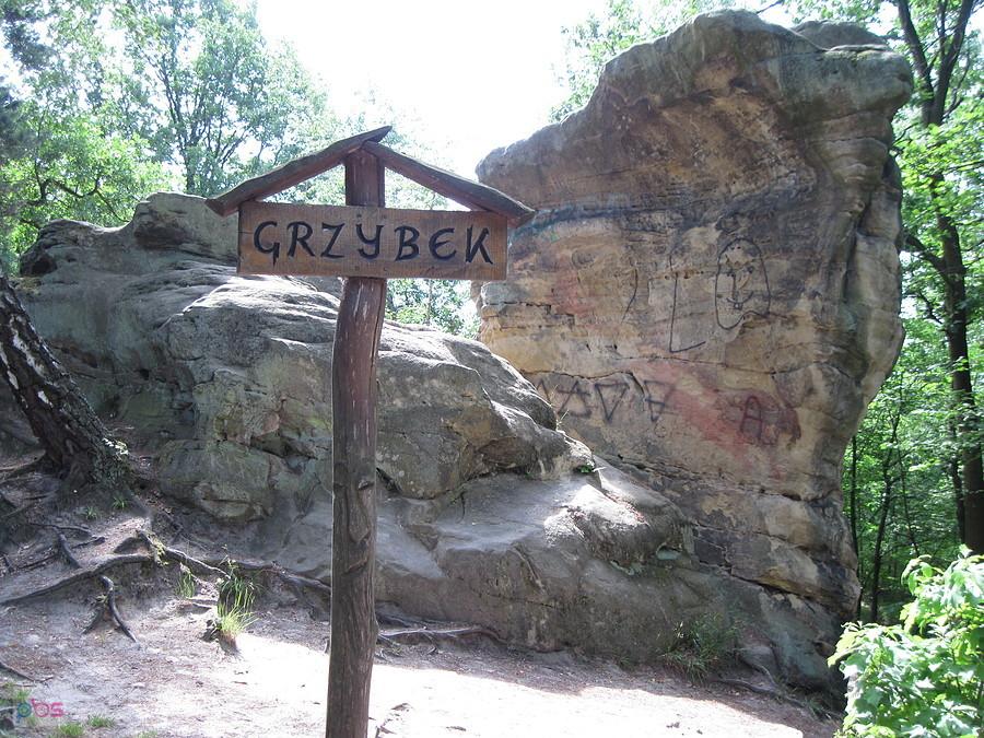 Skalny Grzybek