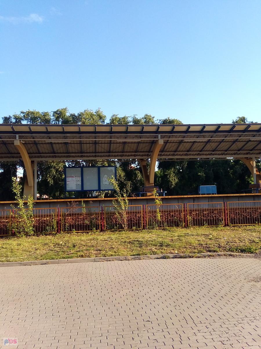 Ursus Niedźwiadek