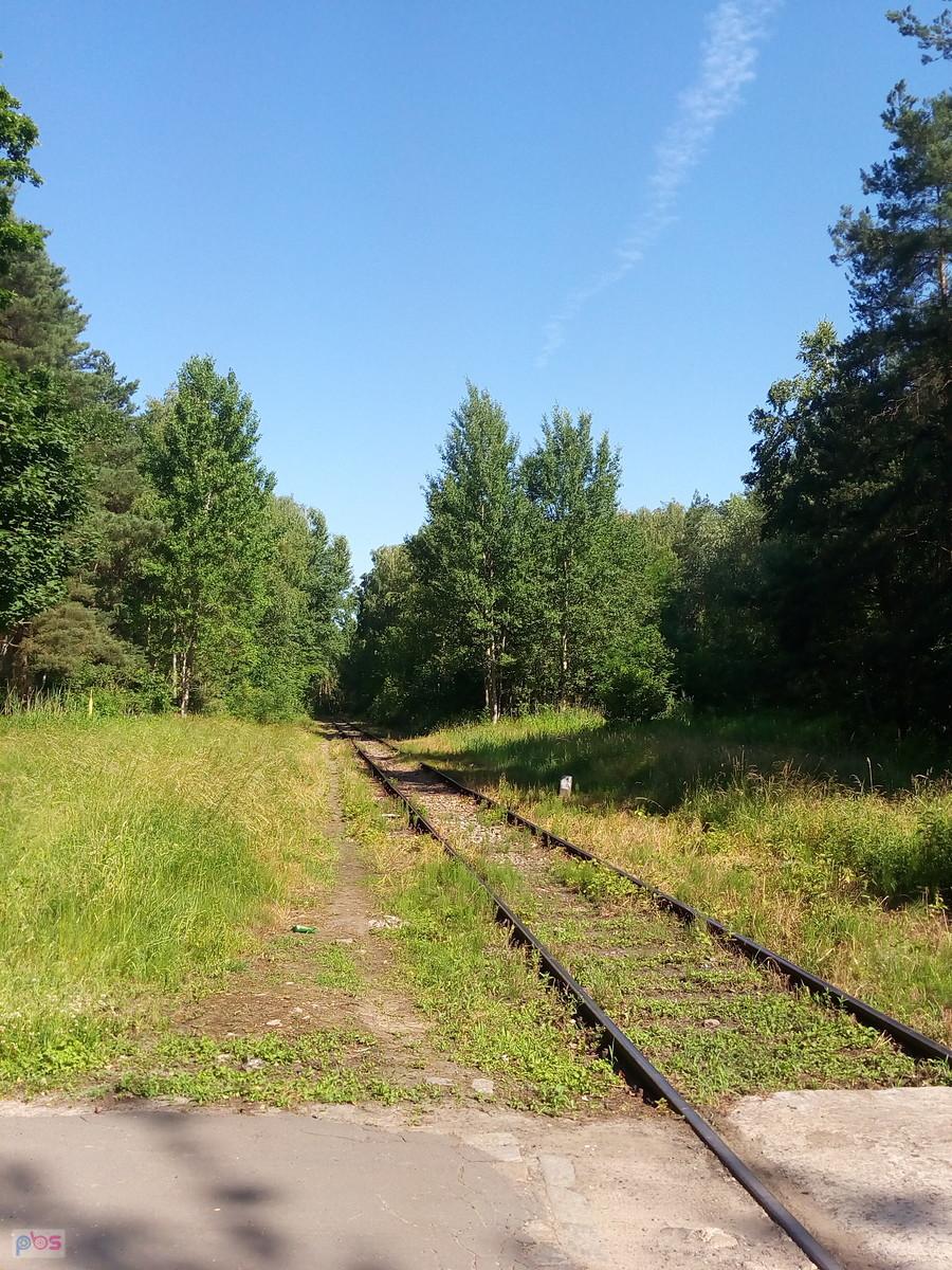Tor w lesie. Tędy jedzie złom do huty