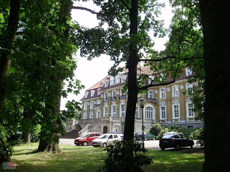 Pałac w Kochcicach