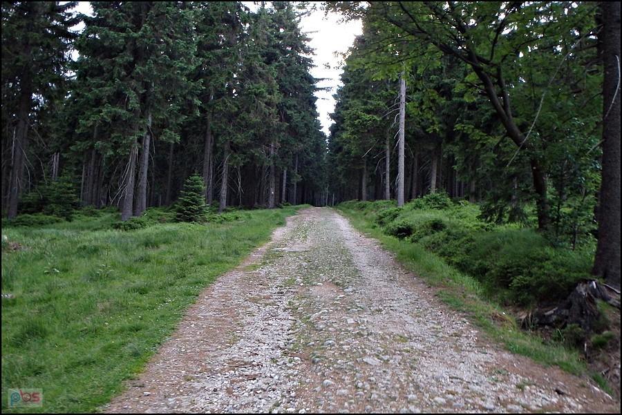 Początek podjazdu