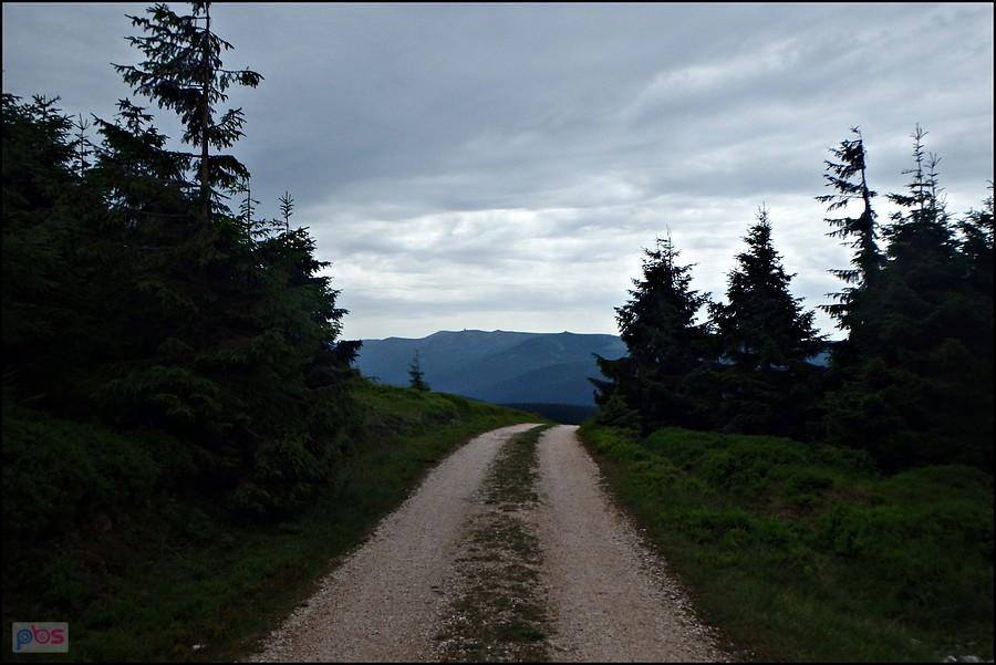 Malownicza traska