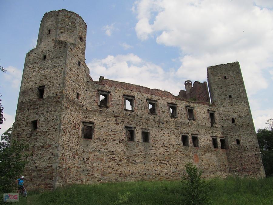 Zamek w Drzewicy