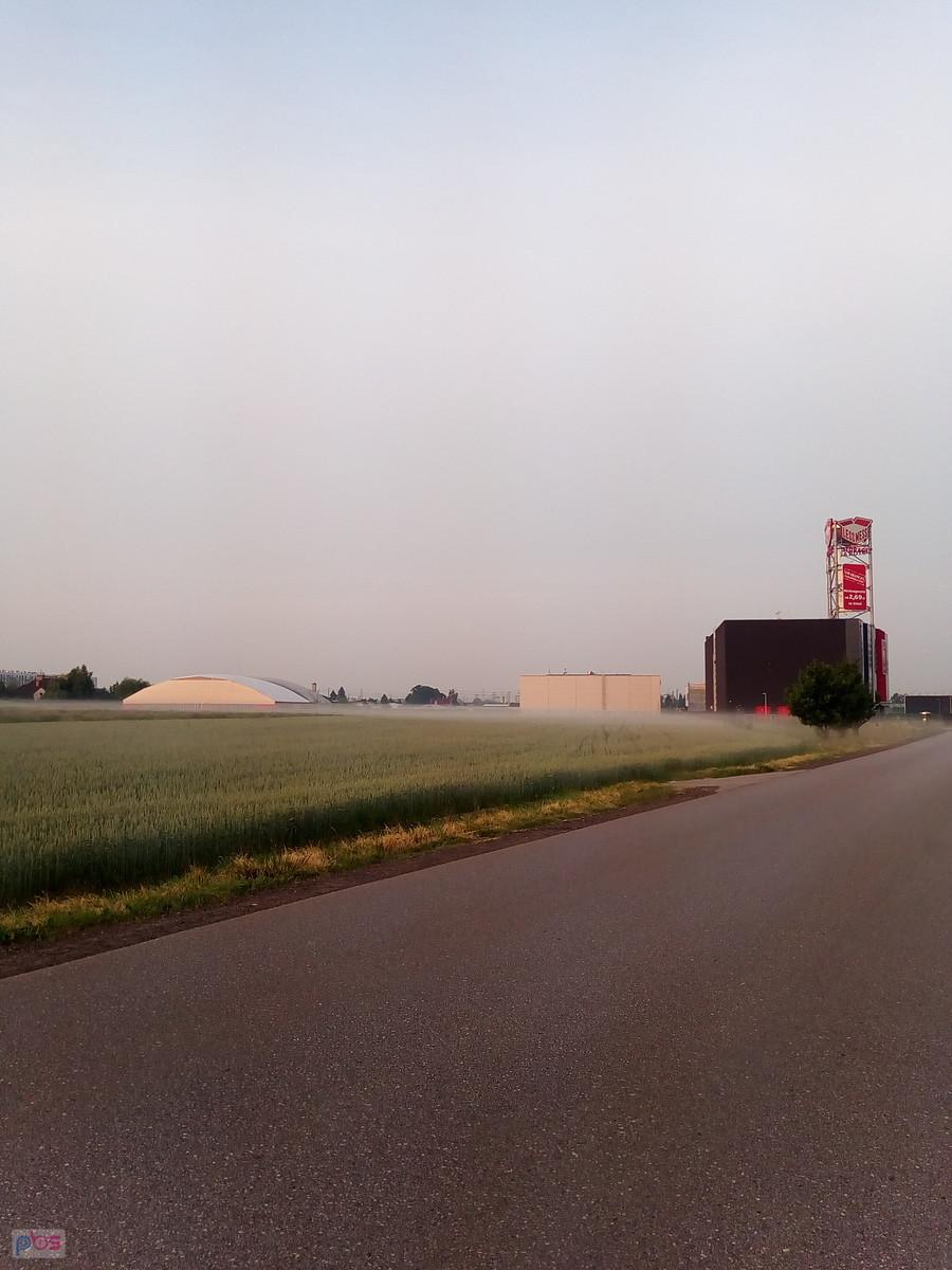 Rano mgła w pole szła..