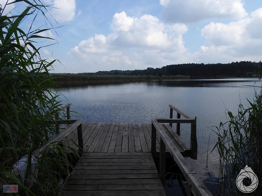 mały zbiornik wodny za Pomorskiem