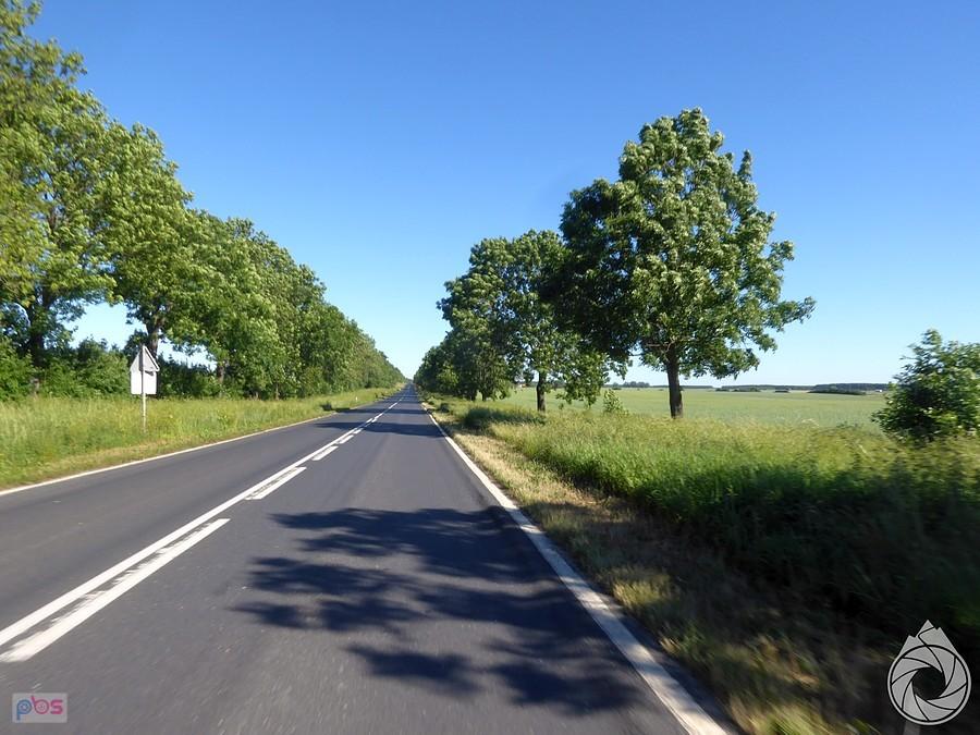 długie proste w Lubuskie