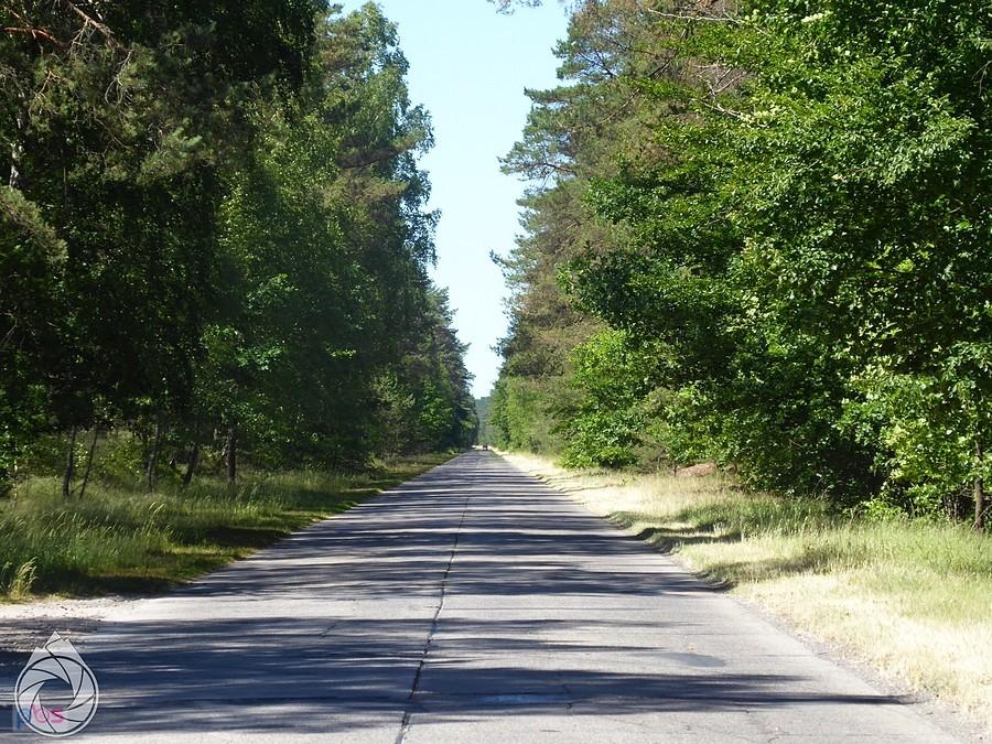 pieprzone płyty do Bornego Sulinowa