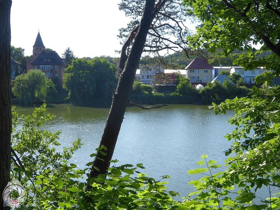 w Barlinku