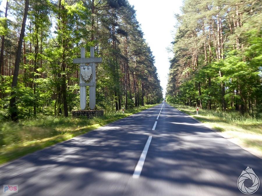 leśne drogi w stronę Wronek
