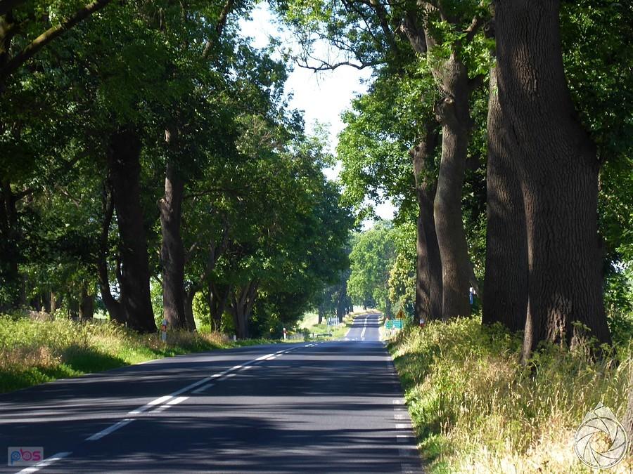 zaczynają się fajne hopki nad jeziorami