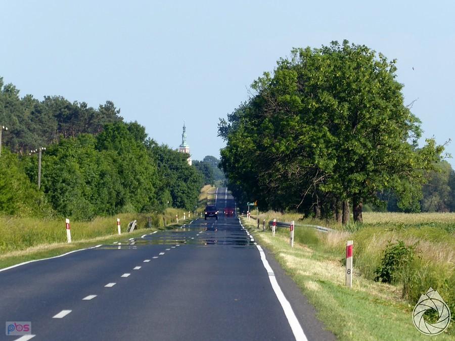 gorące proste w stronę Buka