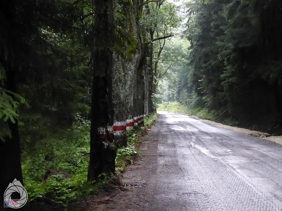 podjazd pod Czarną Górę po sfrezowanym asfalcie