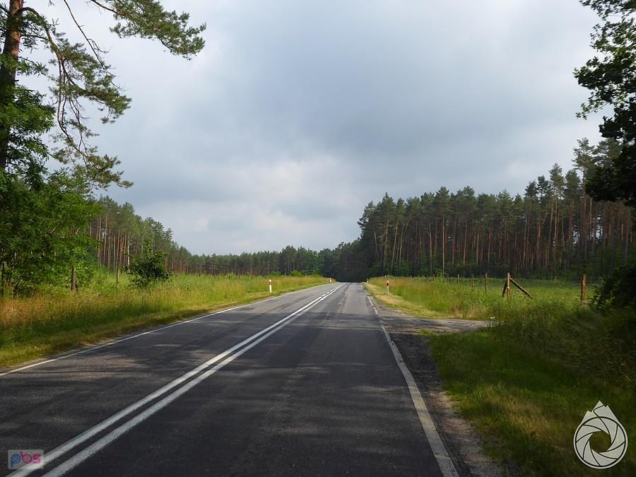 zaczynają się lubusie proste