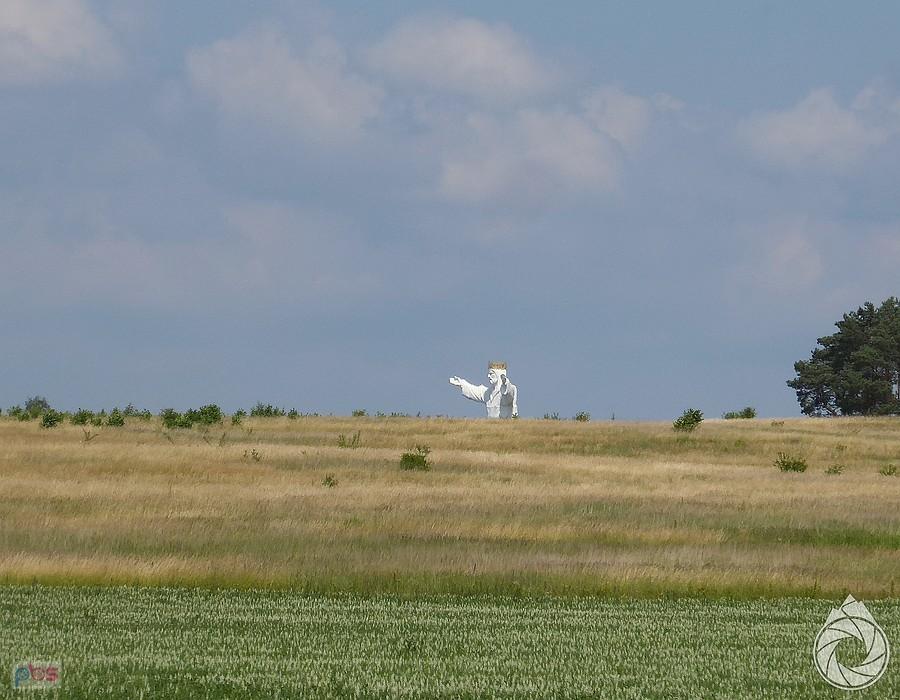 już sie wychyla...!