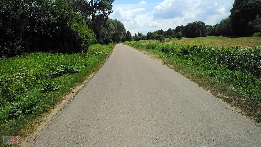 Droga w Wilkowie nad Wisłą