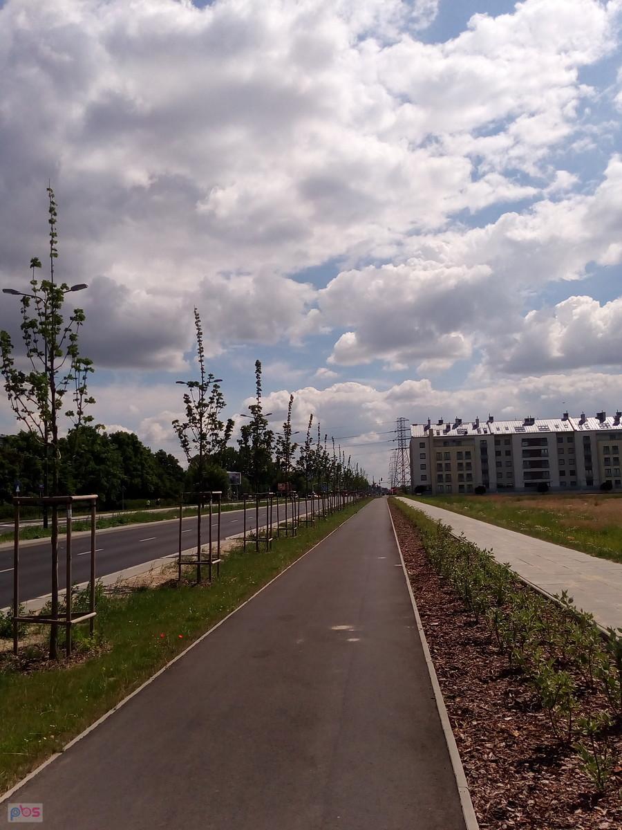 Ddr na Lazurowej już z trawnikami i posadzonymi drzewkami