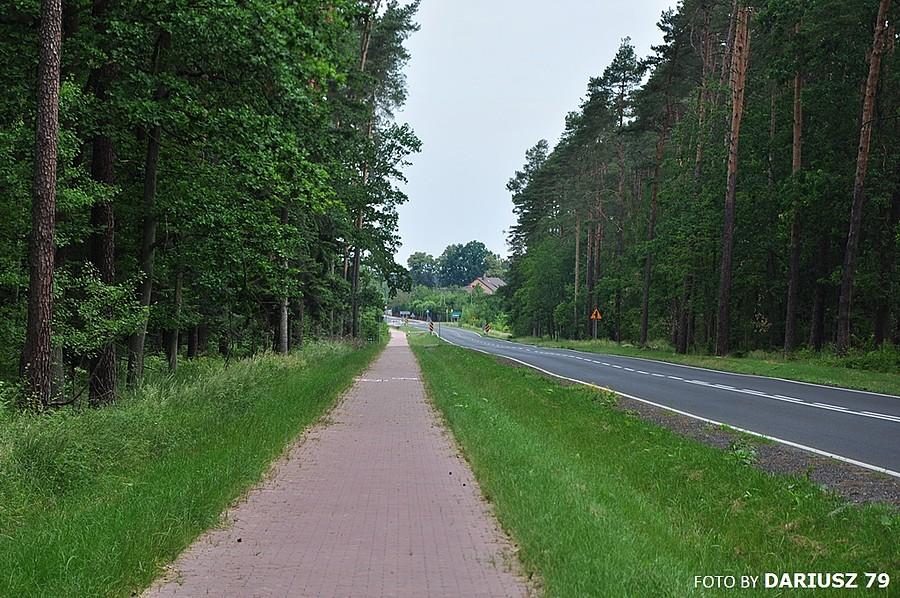 Łuszczanowice - Droga rowerowa