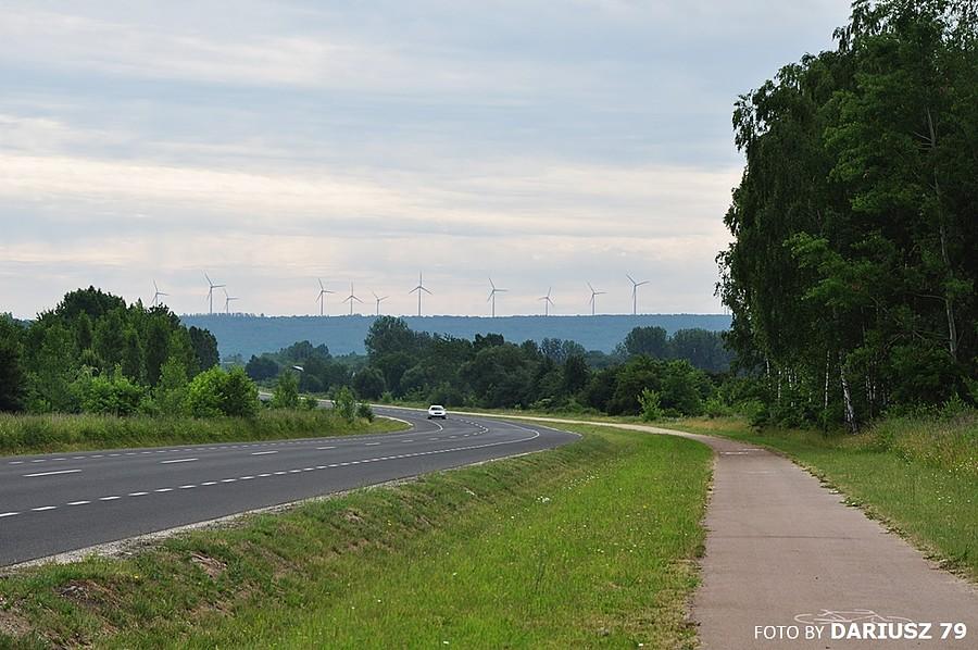 Łekińsko - Droga rowerowa na wprost widok na Góra Kamieńsk