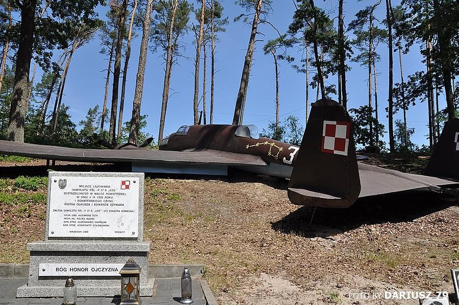 Dłutówek - Łoś z Dłutowskiego Lasu