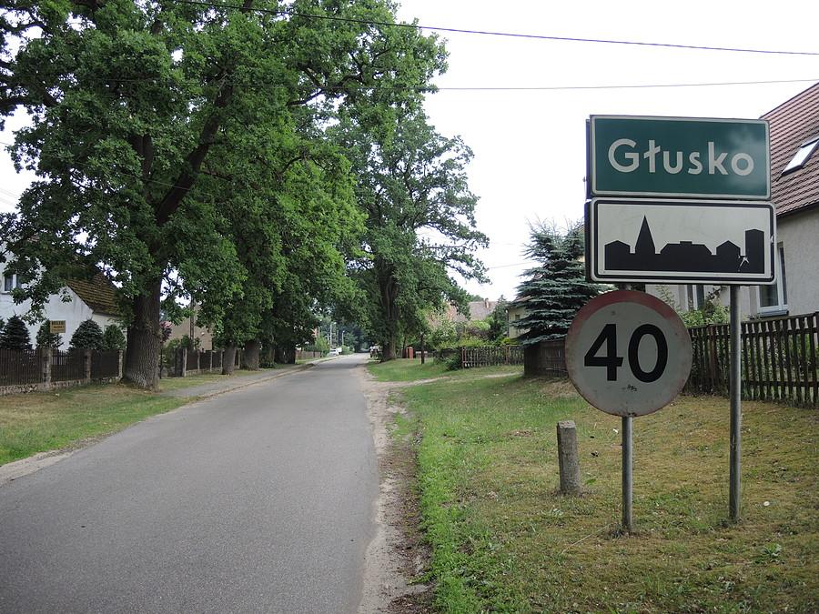 W Głusku na terenie DPN