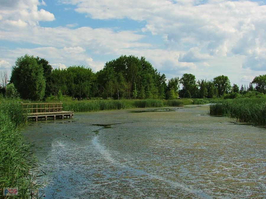 Jezioro Zgorzała