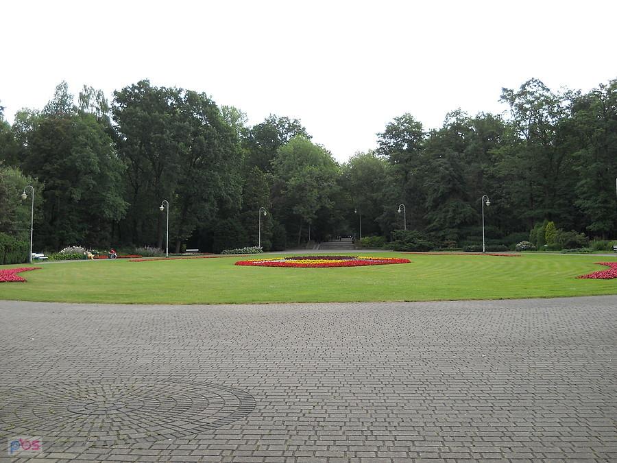 kwiatuszki