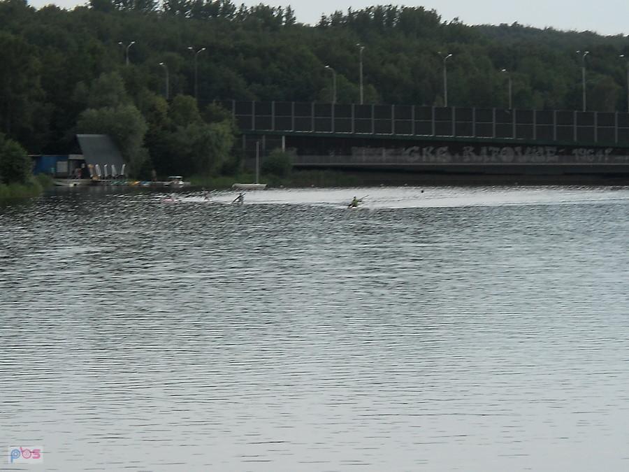 trenują