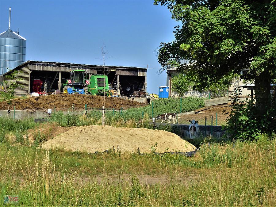Wycieczka rowerowa - okolice Tczewa. Wiejskie klimaty.