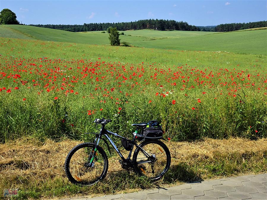 Wycieczka rowerowa - okolice Tczewa.
