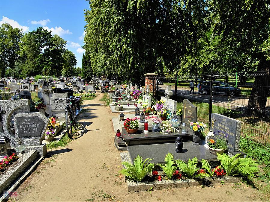 Wycieczka rowerowa - okolice Tczewa. Wpadłem podlać Kwiaty.
