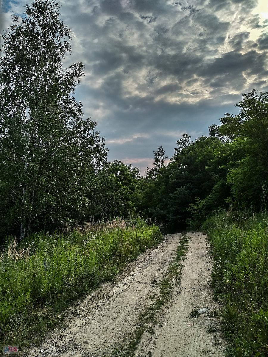 Na hałdzie w Makoszowach