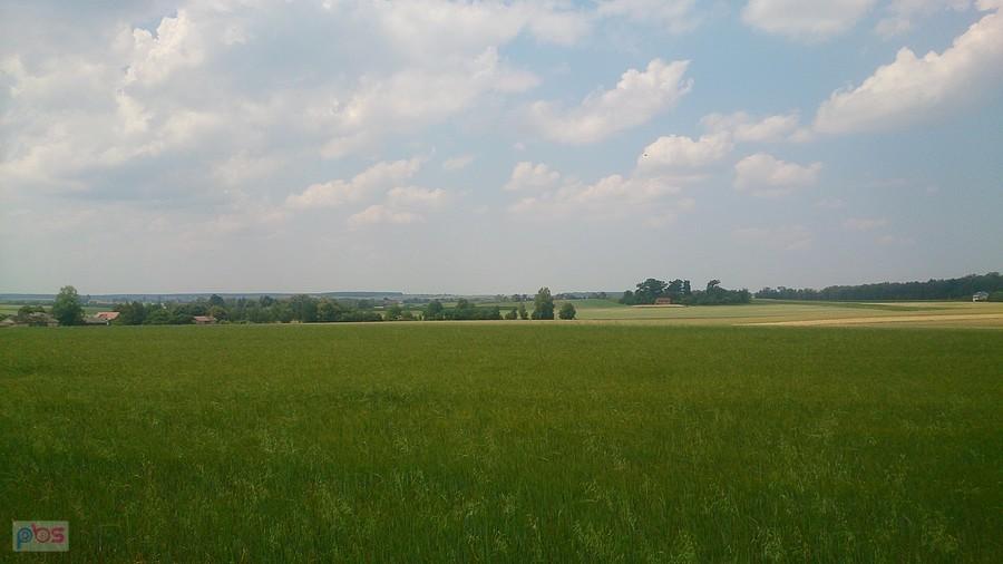 Letni widok