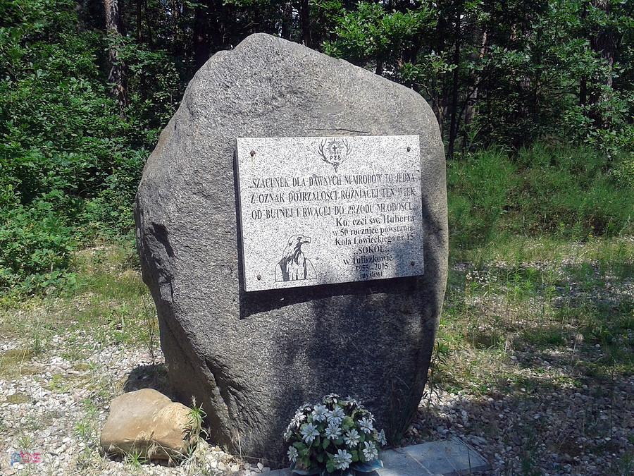 Obelisk, lasy Nadleśnictwa Turek