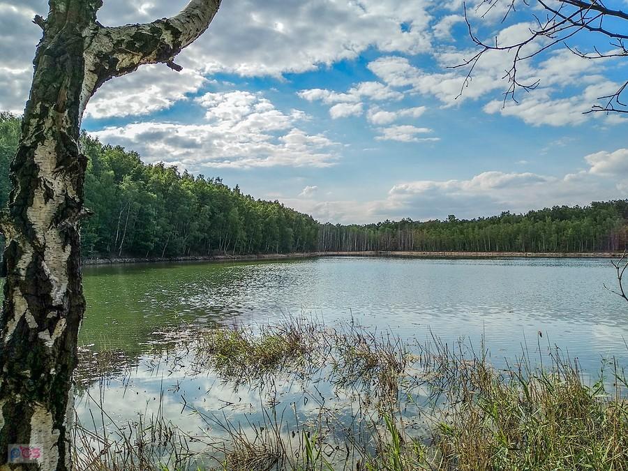 Widok na staw przy hałdzie na Sośnicy