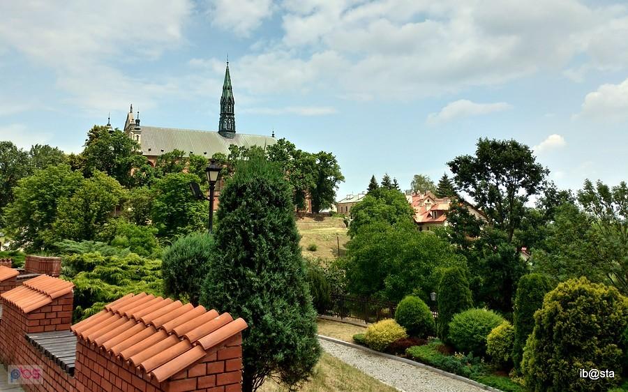 Sandomierz - widok z zamku na bazylikę
