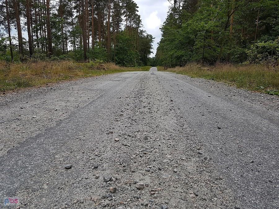 Szutrowa droga łącząca Cisewo i Wielichówko