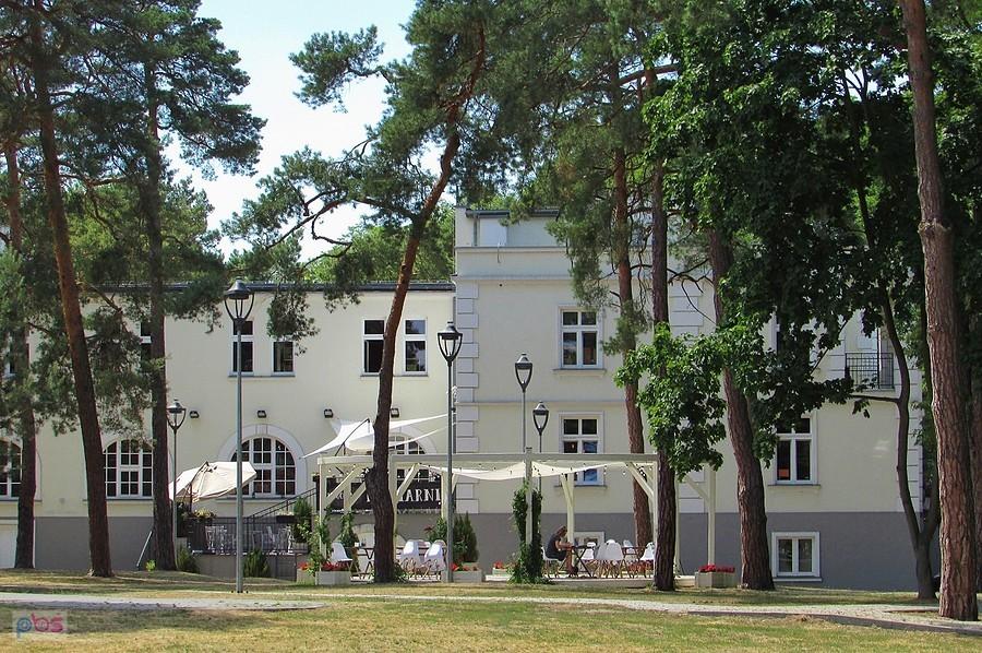 Hugonówka Seydela drugiego po Fukierze winiarza warszawskiego