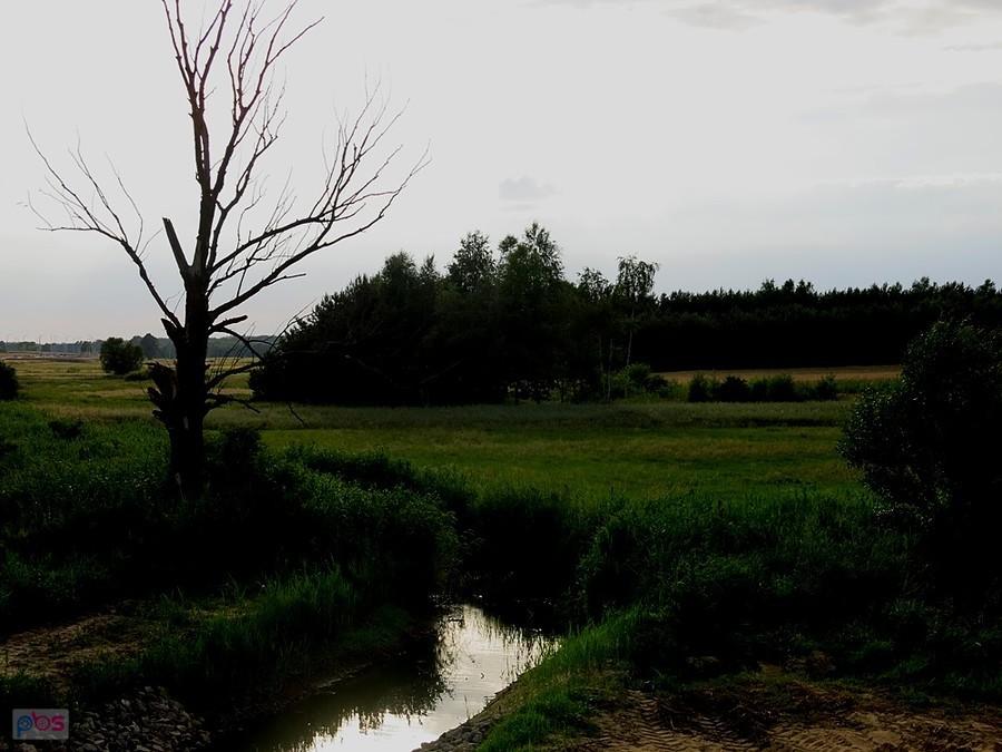 Suchar nad rzeczką