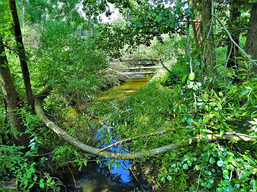 Wycieczka rowerowa po Kociewiu - pierwszy dzień lata.