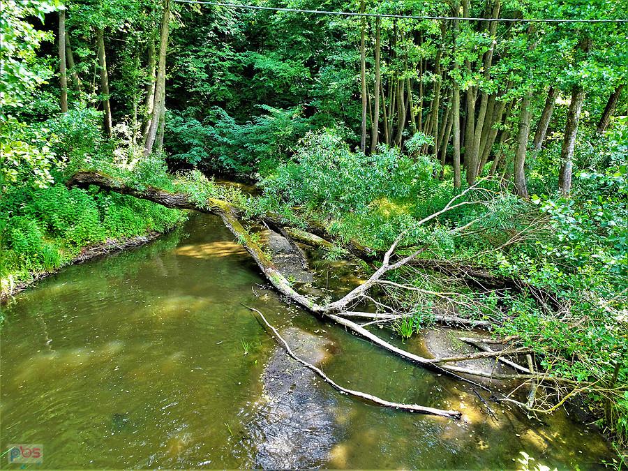 Wycieczka rowerowa po Kociewiu - pierwszy dzień lata.