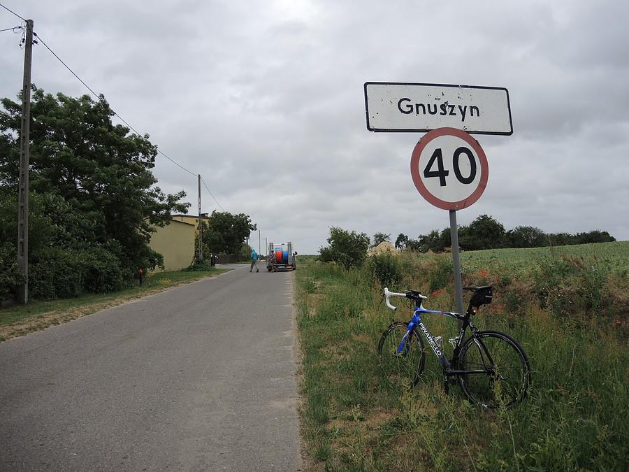 Gnuszyn - na trasie do Pniew