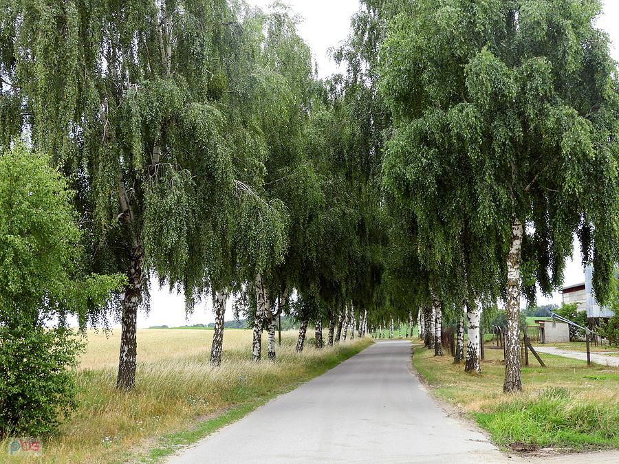 Moja ulubiona trasa Bismark - Blankensee lub odwrotnie.