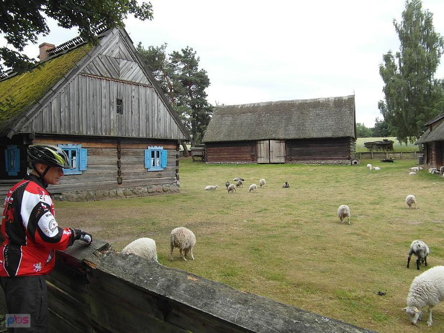 Skansen w Olsztynku