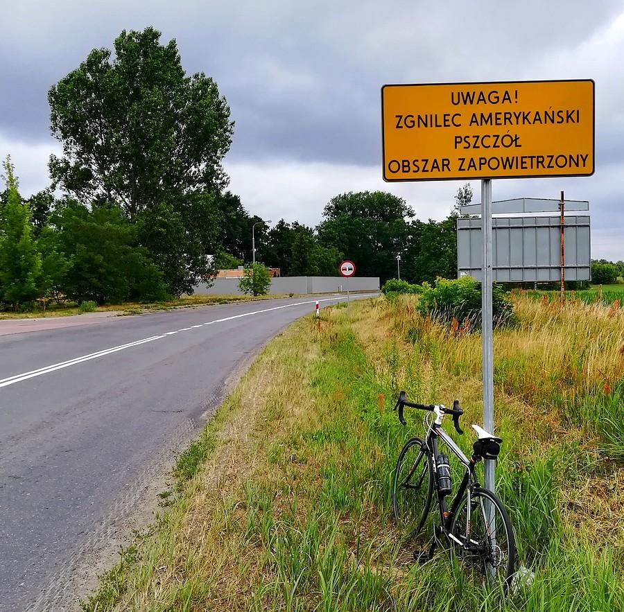Zgnilec - może to to dorwało polską reprezentację? :)