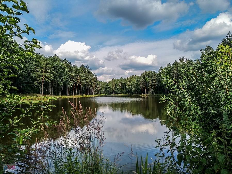 Staw Księżycowy
