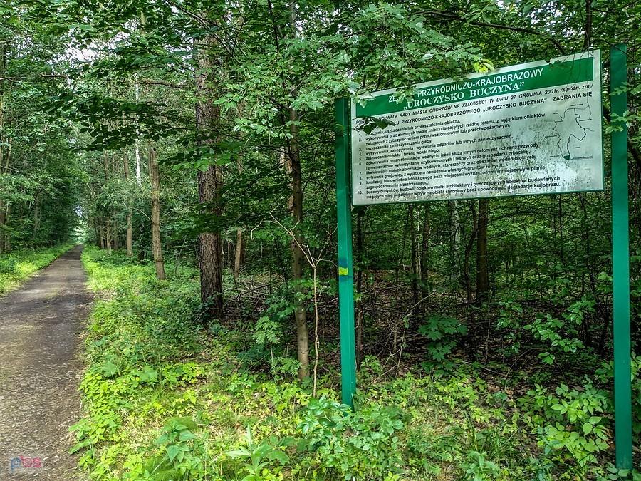 Uroczysko Buczyna