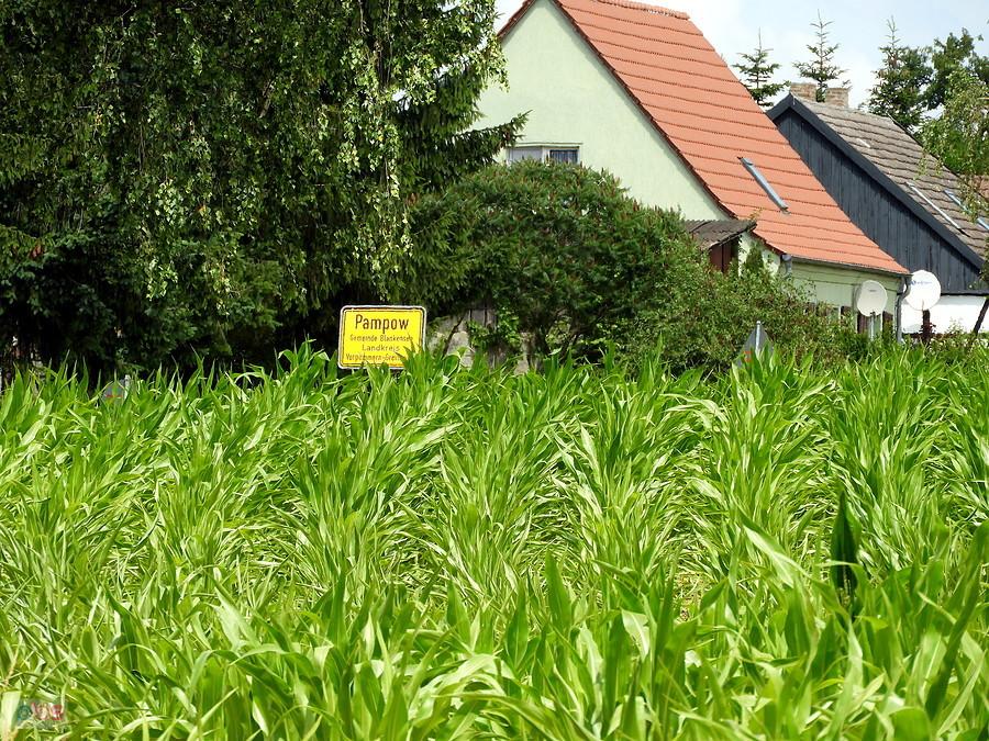 To już Pampow, droga z Blankensee ciągle zamknięta dla ruchu pojazdów.