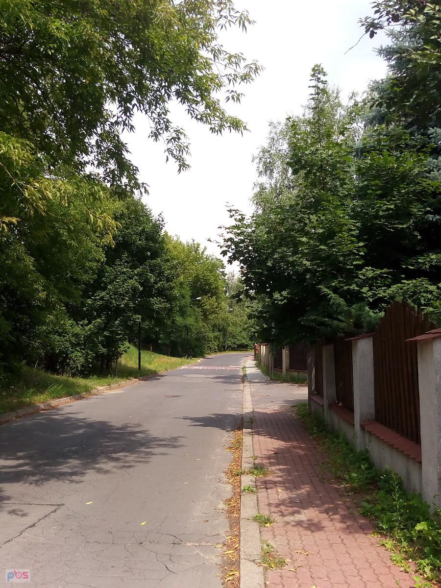 Słoneczny ciepły dzień