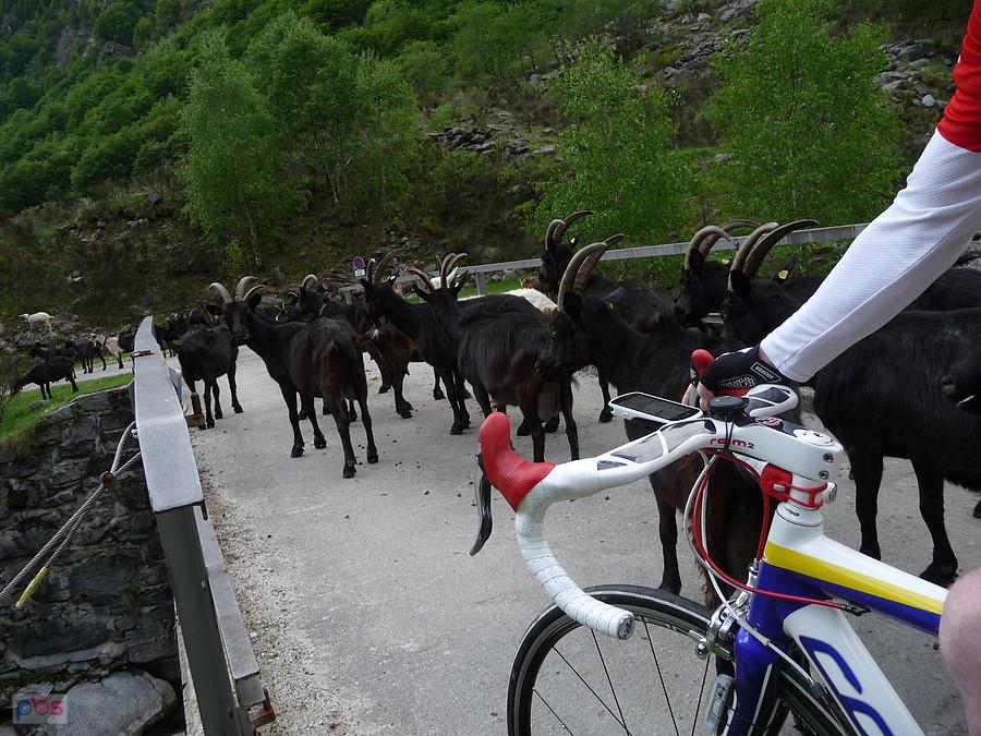 Tour doliną Valle Verzasca