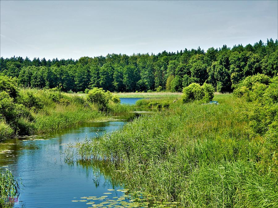 Wycieczka rowerowa - okolice Tczewa.